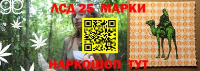 стафф Нальчик