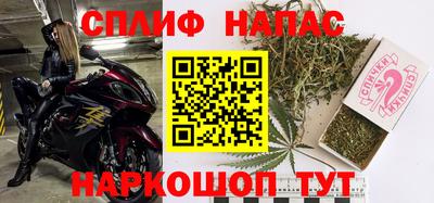 стафф Нальчик