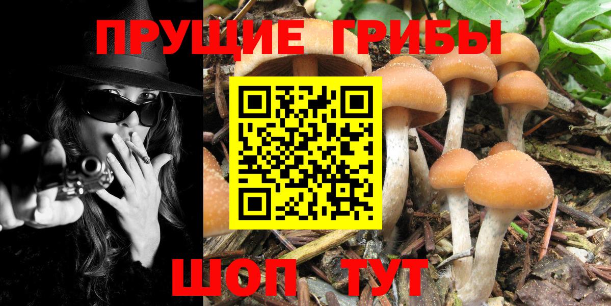 Псилоцибиновые грибы Magic Shrooms Старая Купавна