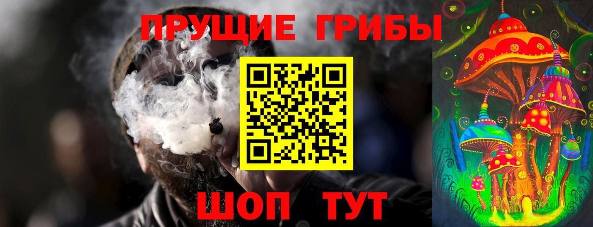 Старая Купавна  Псилоцибиновые грибы Cubensis  Вход с VPN 